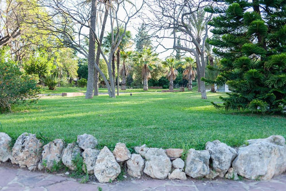 Villa Entrenaranjos Picasent Exterior foto